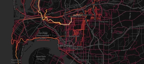 Strava map