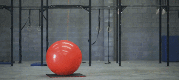 ball bicycle bounce